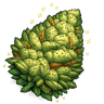 Grow