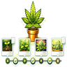 Grow-Tagebuch